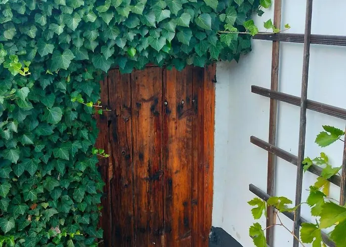 Apartment Prazdninova S Uzavrenym Dvorem A Zahradou Bernartice (Pisek)
